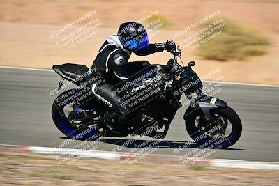 media/Oct-24-2025-2WTD (Fri) [[491f36c2bf]]/C Group/Session 4 (Turn 7)/